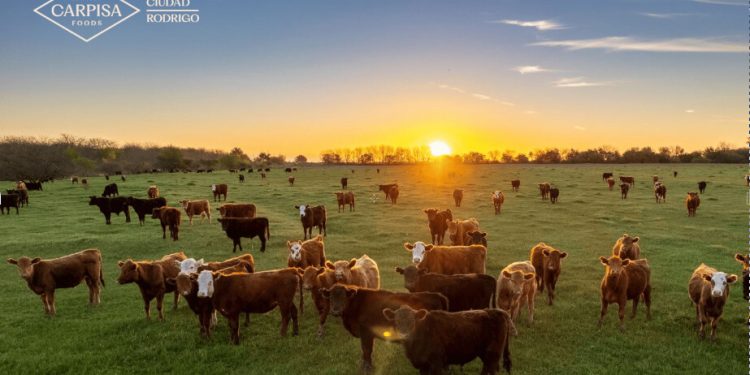 Carpisa Foods prevé alcanzar una facturación cercana a los 200 millones de euros en 2025. Fuente: Carpisa Foods.