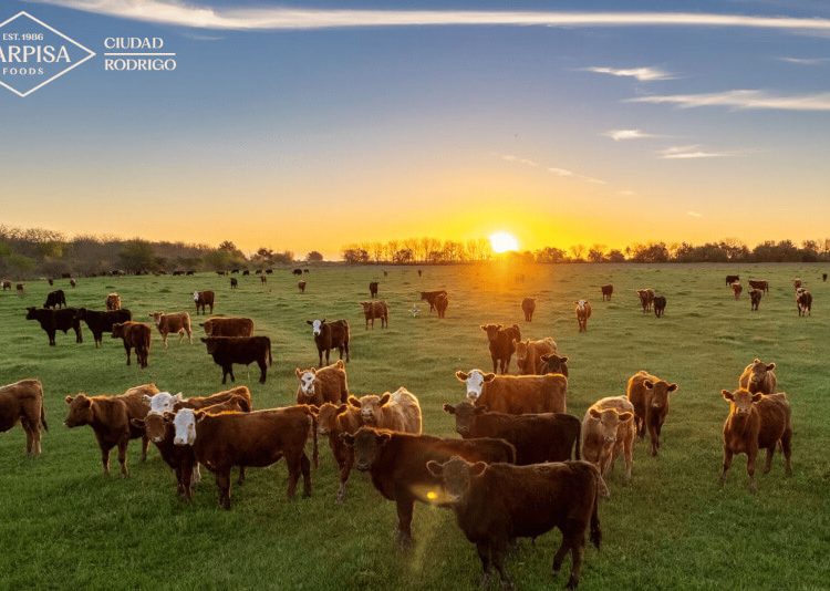 Carpisa Foods prevé alcanzar una facturación cercana a los 200 millones de euros en 2025. Fuente: Carpisa Foods.