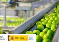 Nuevos cursos gratuitos para profesionales del sector de industrias alimentarias. Fuente: Femxa.