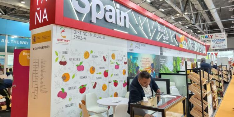 Exportadores españoles de frutas y hortalizas exploran nuevos mercados. Fuente: Fepex.