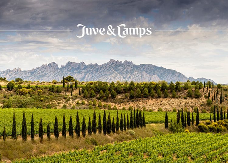 Juvé & Camps se alía con Dassault Systèmes para digitalizar la gestión de sus proyectos. Fuente: Dassault Systèmes.