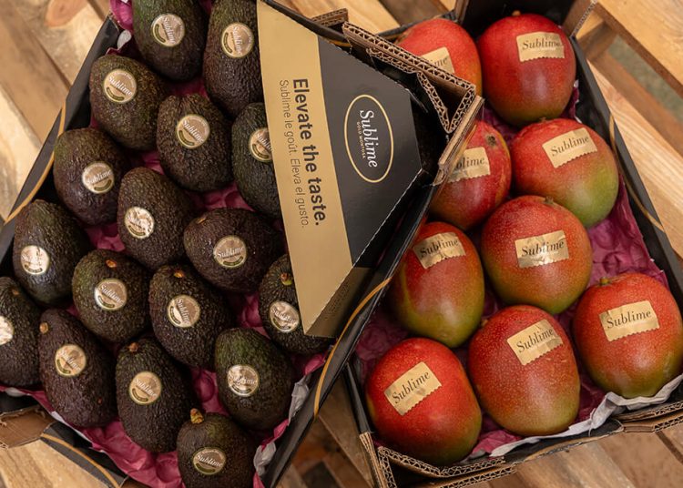 Montosa prevé volúmenes y calibres óptimos tanto para mango como para aguacate esta temporada. Fuente: Montosa.
