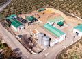 Interóleo incorpora a la cooperativa Motaoliva y refuerza su capacidad productiva. Fuente: Interóleo.