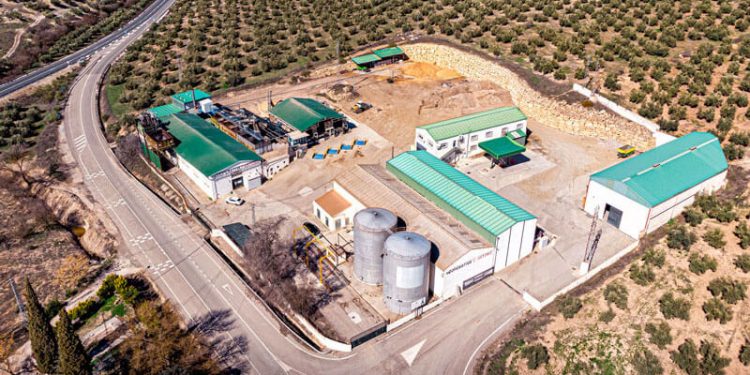 Interóleo incorpora a la cooperativa Motaoliva y refuerza su capacidad productiva. Fuente: Interóleo.