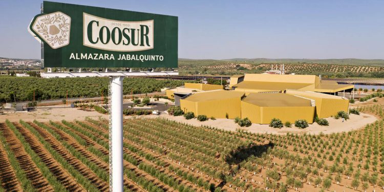 Acesur e Intarcon desarrollan nuevas tecnologías de refrigeración en la producción de AOVE de calidad superior. Fuente: Acesur.