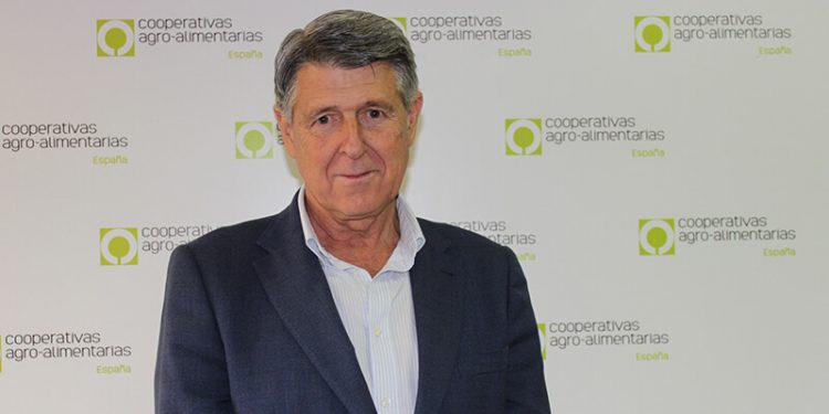 Cooperativas Agro-alimentarias reclama en Bruselas medidas para garantizar el futuro del olivar