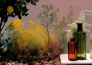 Verallia muestra cómo serán los envases de bebidas del futuro. Fuente: Verallia.