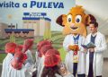 Lactalis Puleva reanuda su programa de visitas escolares. Fuente: Lactalis Puleva.
