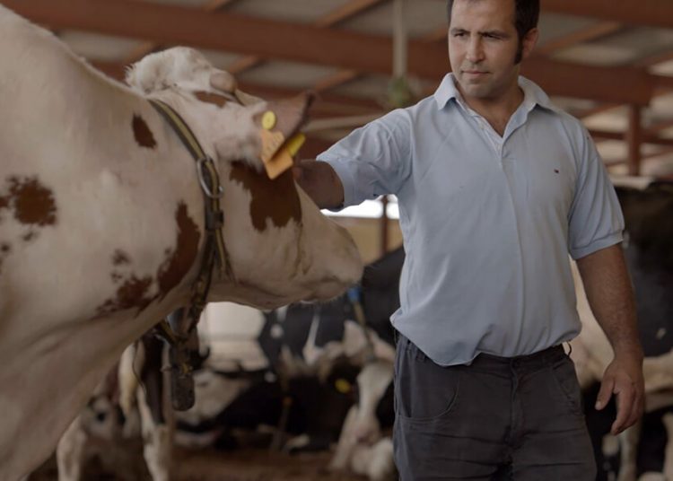 InLac anima a los jóvenes a quedarse en el campo a trabajar. Fuente: InLac.
