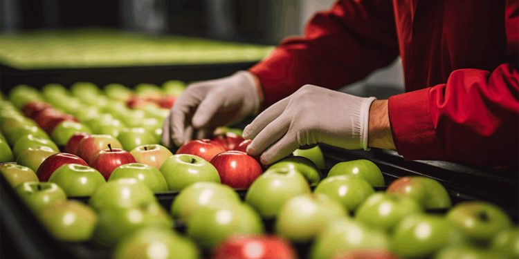 La producción de la industria de alimentación creció un 1,4% en el primer semestre. Fuente: CaixaBank Research.