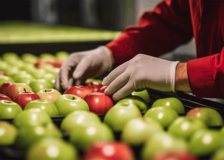 La producción de la industria de alimentación creció un 1,4% en el primer semestre. Fuente: CaixaBank Research.