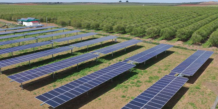 Almendra europea: calidad para un futuro más sostenible. Fuente: Almendra Europea