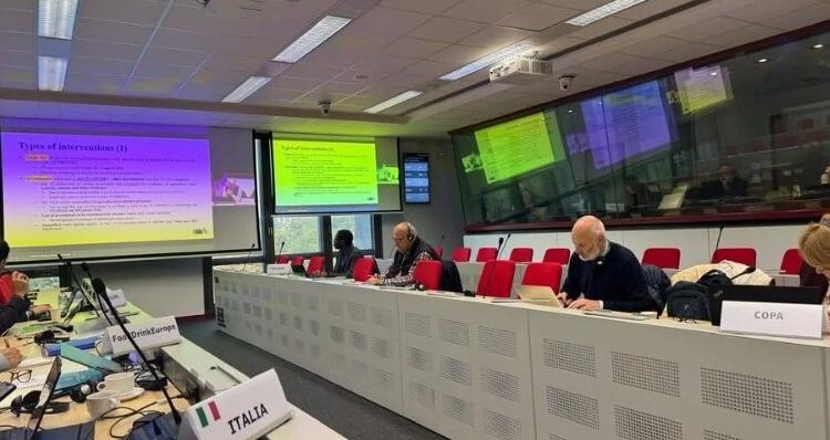 Asaja denuncia que el nuevo acuerdo UE–Marruecos pone en riesgo la equidad del mercado. Fuente: Asaja.