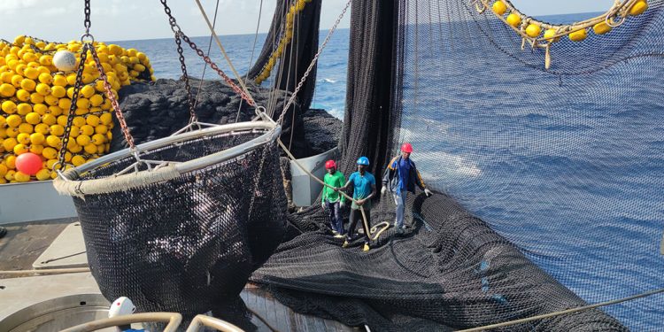 La flota atunera española logra la certificación MSC para el 95% de sus capturas. Fuente: OPAGAC.