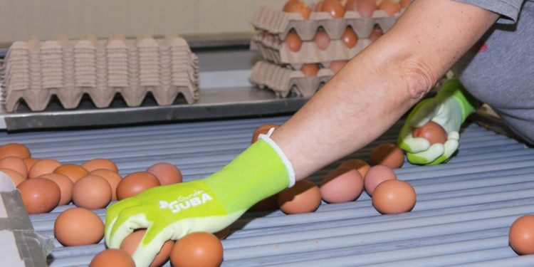 El 81% de los consumidores se decantan por el consumo de huevos de proximidad