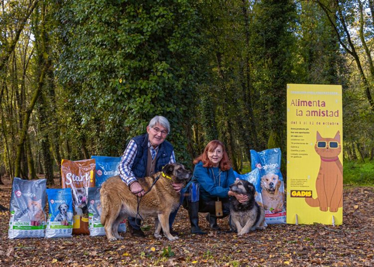 Campaña Aimenta la Amistad de Gadis. Fuente: Gadis.
