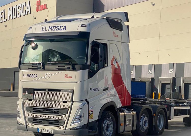 El Mosca Marítimo crea un nuevo servicio para transportar envíos alimentarios a los mercados americanos. Fuente: Logista.