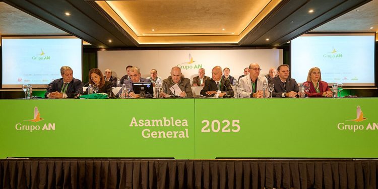 El Grupo AN eleva su facturación un 8,4% hasta alcanzar los 1.380 millones. Fuente: Grupo AN.
