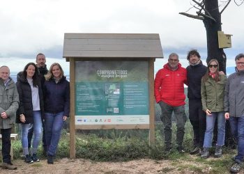 Carrefour, FSC y Pernod Ricard España colaboran en recuperación ambiental. Fuente: Carrefour.