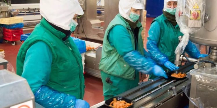 Emcesa aumenta su plantilla un 15% para hacer frente a la campaña de Navidad. Fuente: Emcesa.