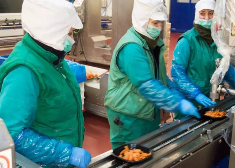 Emcesa aumenta su plantilla un 15% para hacer frente a la campaña de Navidad. Fuente: Emcesa.