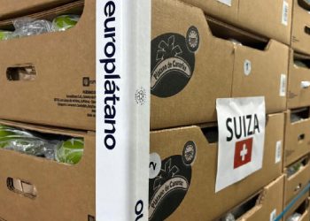 Europlátano cumple una década exportando plátano de Canarias a Suiza. Fuente: Europlátano.
