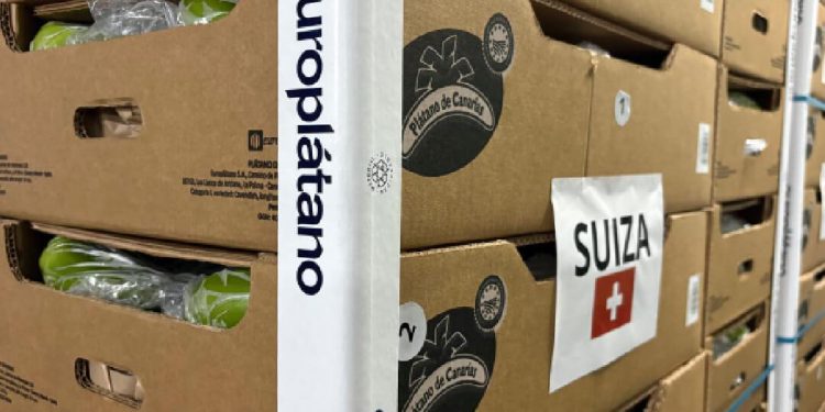 Europlátano cumple una década exportando plátano de Canarias a Suiza. Fuente: Europlátano.
