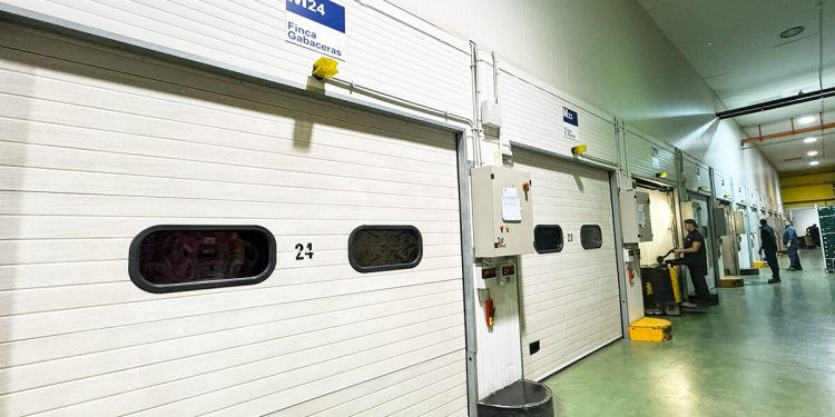 Europlátano sigue fortaleciendo su expansión peninsular con nuevas instalaciones propias. Fuente: Europlátano.