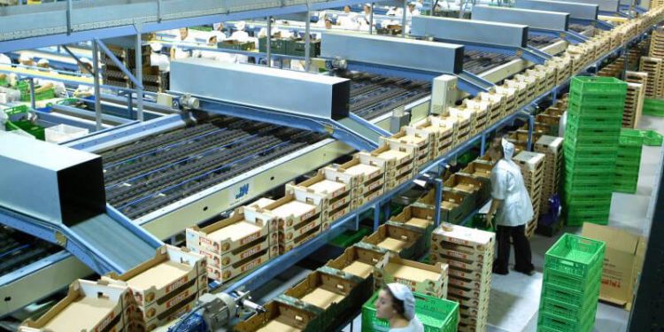 La exportación de frutas y hortalizas cae un 2% en volumen y crece un 7,5% en valor hasta agosto. Fuente: Fepex.