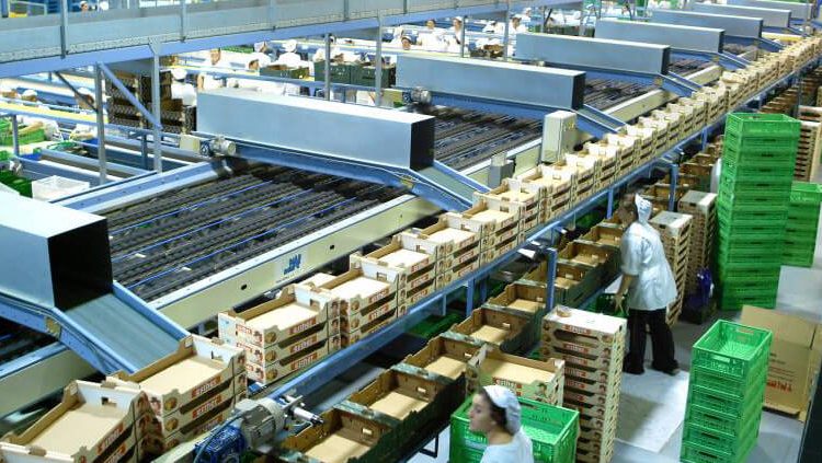 La exportación de frutas y hortalizas cae un 2% en volumen y crece un 7,5% en valor hasta agosto. Fuente: Fepex.