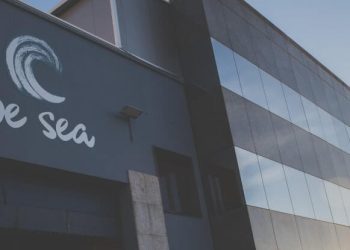 Jealsa avanza en la automatización del proceso de descongelado de atún gracias a los fondos Next Generation. Fuente: Jealsa.