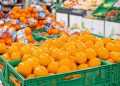 Mercadona prevé comercializar este año 131.000 toneladas de naranja nacional. Fuente: Mercadona.