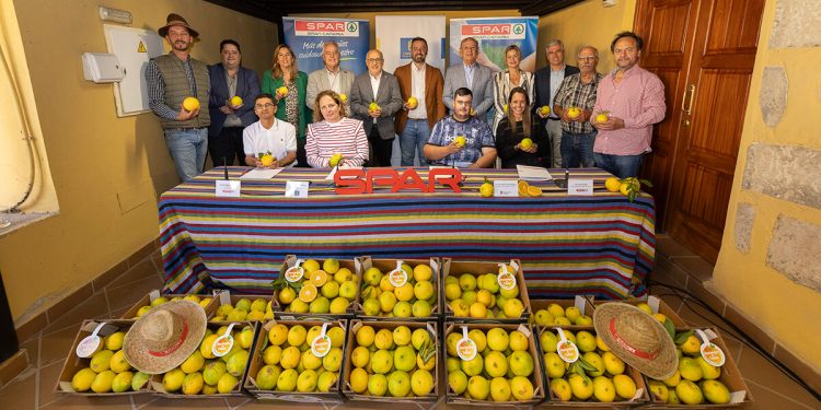 Spar Gran Canaria prevé comercializar este año 250.000 kilogramos de naranjas de Telde. Fuente: Spar Gran Canaria.