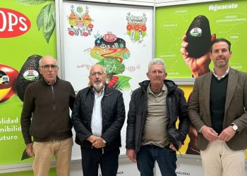 De izquierda a derecha, Francisco Plaza, secretario de Micoma; José Linares, presidente de Trops; José Francisco Valenzuela, presidente de Micoma, y Víctor Luque, director general de Trops. Fuente: Trops.