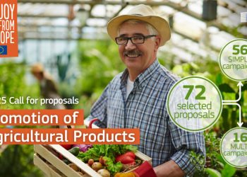 Foto: © Unión Europea, 2025. Fuente de la imagen: shironosov, Canva.