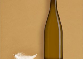 Verallia desarrolla la botella Borgoña más ligera del mundo. Fuente: Verallia.