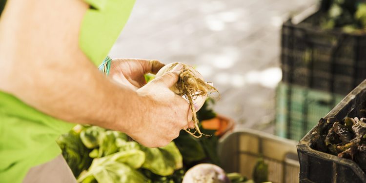 El desperdicio alimentario en los supermercados aumenta durante la Navidad debido a la falta de previsión. Fuente: Phenix.