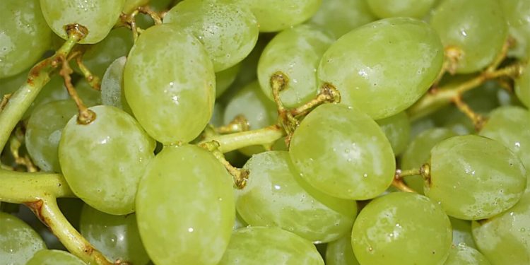 El precio de las uvas ha subido un 32% desde principios de noviembre. Fuente: Facua.