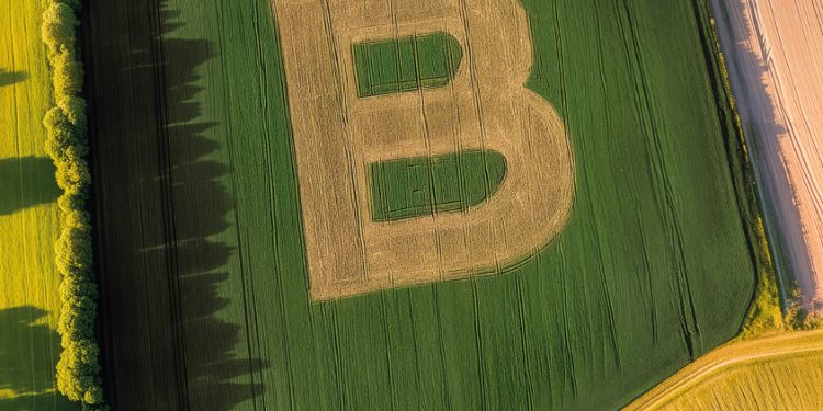 Bonduelle consigue la certificación B Corp en todas sus operaciones a nivel mundial. Fuente: Bonduelle.