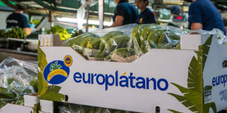 Europlátano mantiene los más altos estándares de calidad y seguridad alimentaria. Fuente: Europlátano.