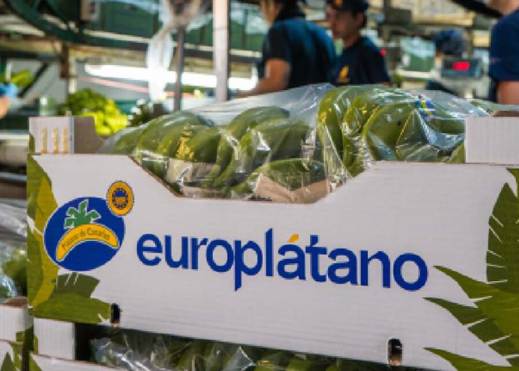 Europlátano mantiene los más altos estándares de calidad y seguridad alimentaria. Fuente: Europlátano.