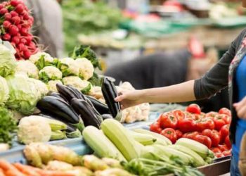 La importación de frutas y hortalizas creció un 7% en volumen entre enero y noviembre de 2025. Fuente: Fepex.