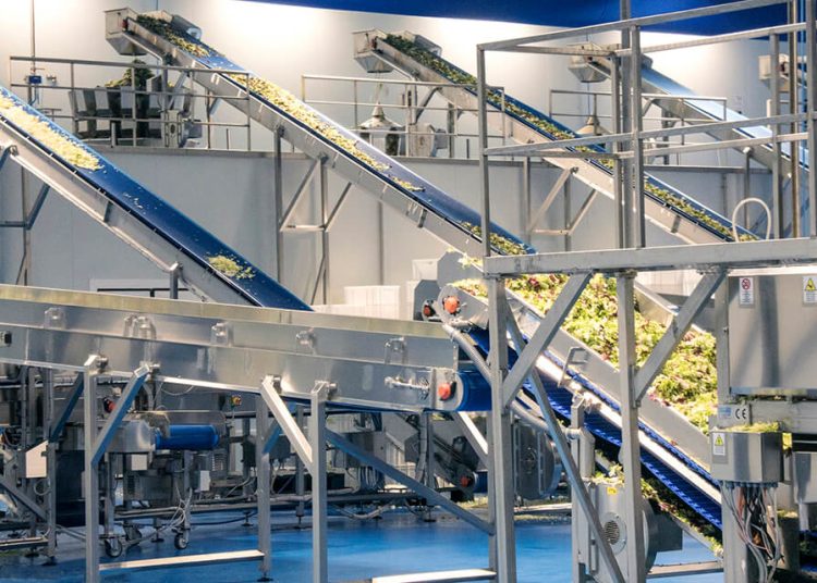 Grupo Enhol y Stellum Food&Tech entran en el capital de Huerta de Peralta. Fuente: Grupo Enhol y Stellum Food&Tech.