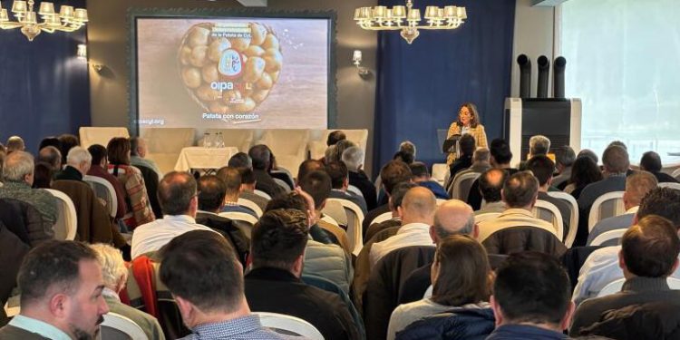 jornada ‘Planificación y futuro de la producción de patata en Castilla y León’. Fuente: Fepex.