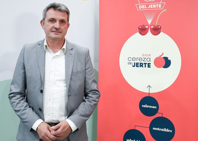 José Antonio Tierno, presidente de la DOP Cereza del Jerte. Fuente:DOP Cereza del Jerte.