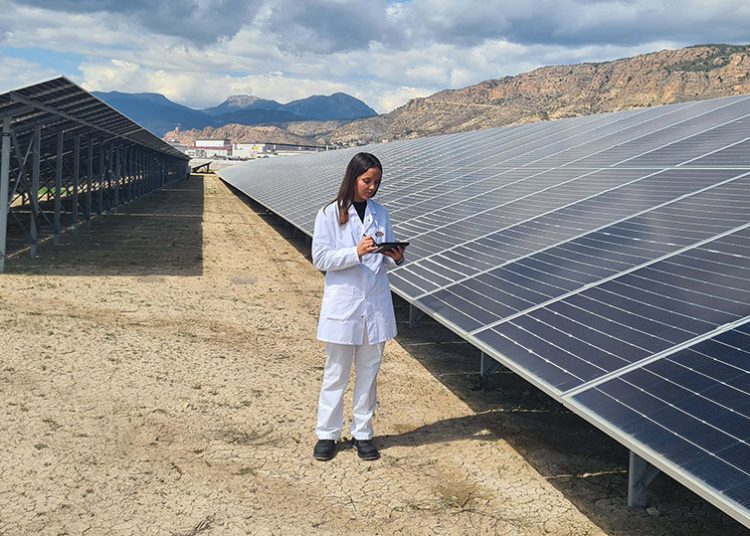 Planta Fotovoltaica de ElPozo Alimentación. Fuente: El Grupo Fuertes