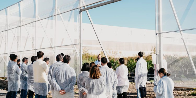 Lidl ayuda a la transición ecológica de sus proveedores con una innovadora plataforma. Fuente: Lidl.