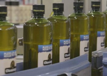 Oleoestepa llevará a cabo un plan de inversiones que incluye dos proyectos estratégicos. Fuente: Oleoestepa.
