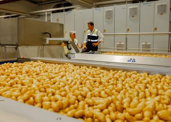 Patatas Meléndez lanza un nuevo plan estratégico para consolidar su posición en el sector de la patata fresca. Fuente: Patatas Meléndez.