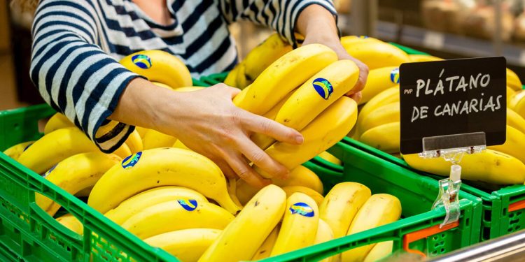 Plátano de Canarias IGP cerró 2025 con un 65,3% de cuota valor de la categoría. Fuente: Plátano de Canarias.